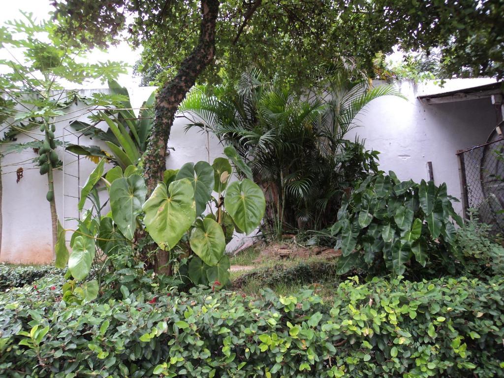 Iguassu Central Flats Foz do Iguacu Exterior photo